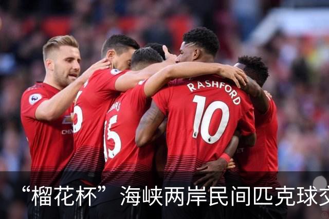 “榴花杯”海峡两岸民间匹克球交流赛在云南省玉溪开赛