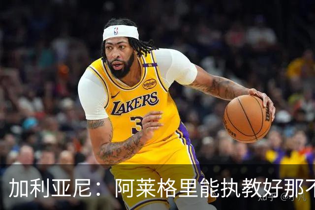 加利亚尼：阿莱格里能执教好那不勒斯，他会根据队内球员制定战术
