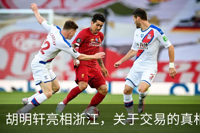 胡明轩亮相浙江，关于交易的真相揭秘